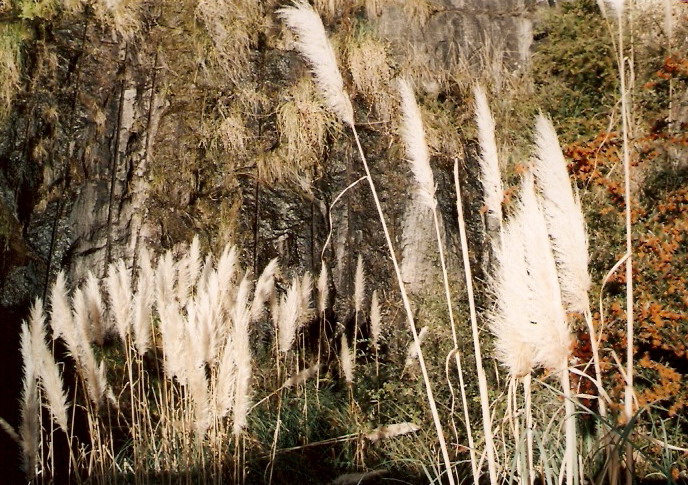 Foto de Tras las Sierras (Córdoba), Argentina