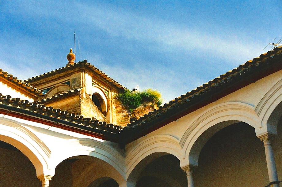 Foto de Écija (Sevilla), España