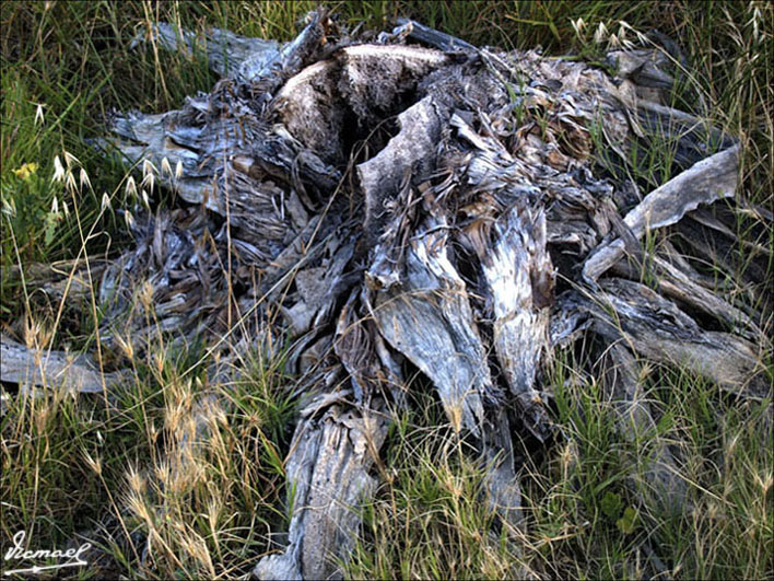 Foto de Oropesa del Mar (Castelló), España
