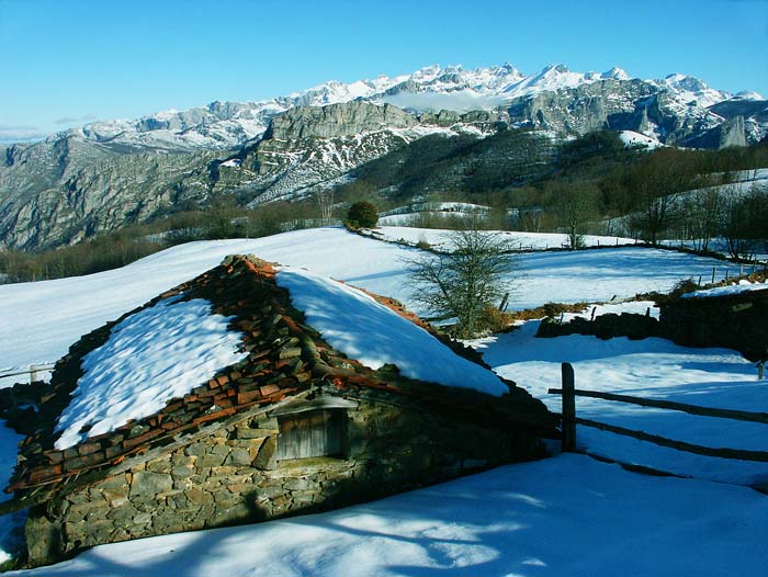 Foto de Les Bedules - Ponga (Asturias), España
