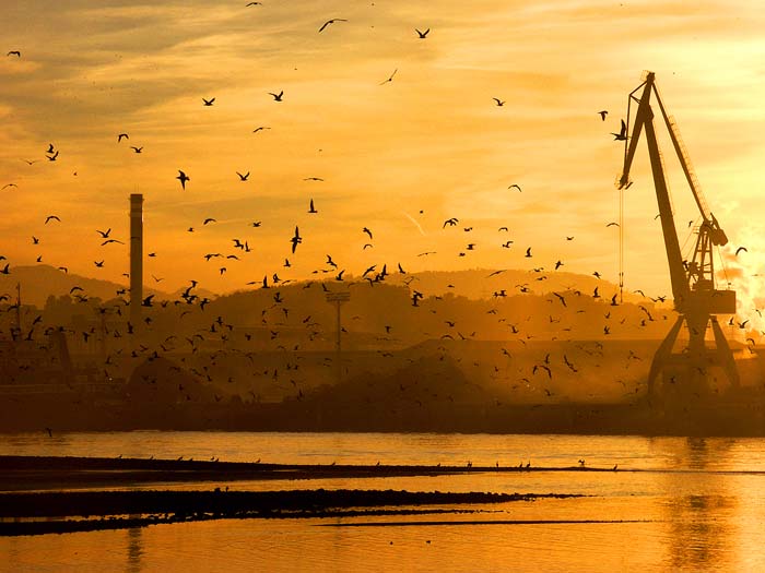 Foto de Avilés (Asturias), España