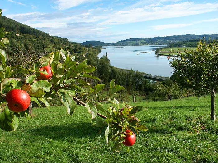 Foto de El Puntal - Villaviciosa (Asturias), España