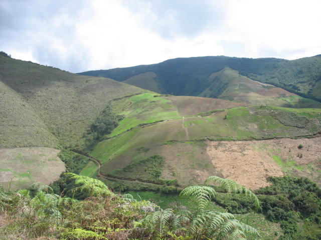 Foto de Guaraque, Venezuela