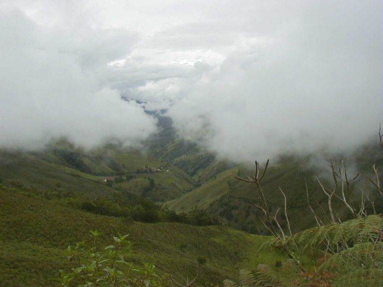 Foto de El Molino, Venezuela