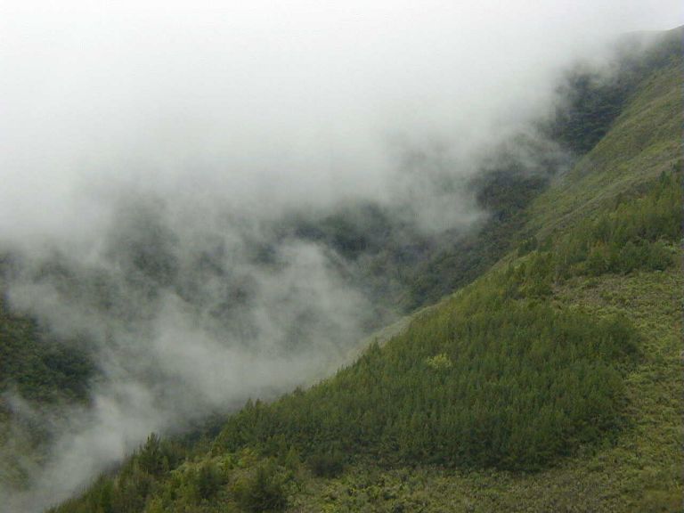 Foto de El Molino, Venezuela