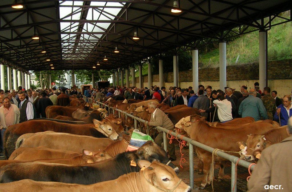 Foto de Pola de Allande (Asturias), España
