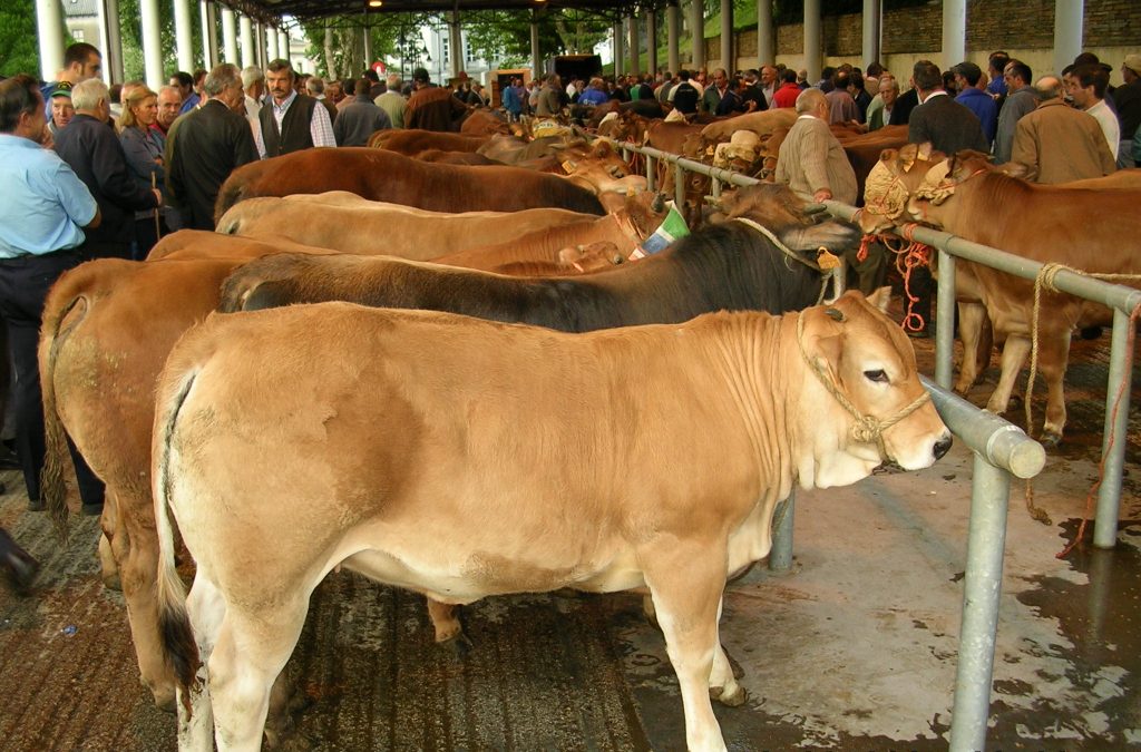Foto de Pola de Allande (Asturias), España