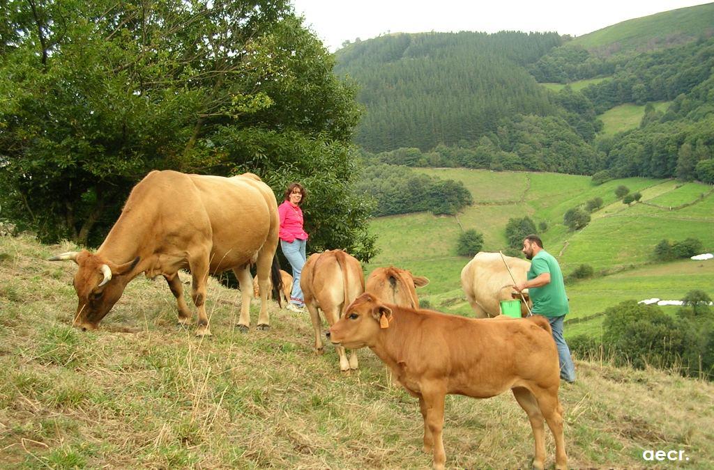 Foto de Carbayeu (Asturias), España