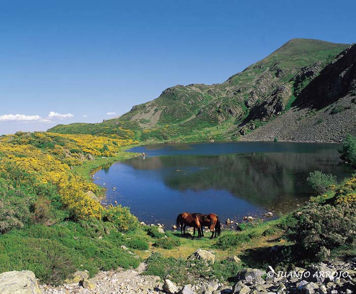 Foto de Cangas del Narcea (Asturias), España