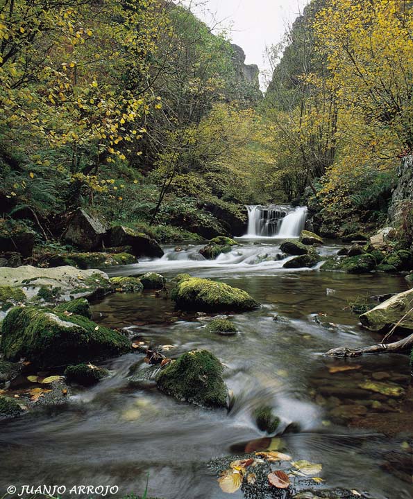 Foto de Sobrescobio (Asturias), España