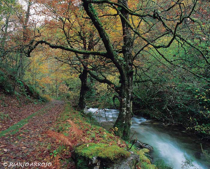 Foto de Cangas del Narcea (Asturias), España