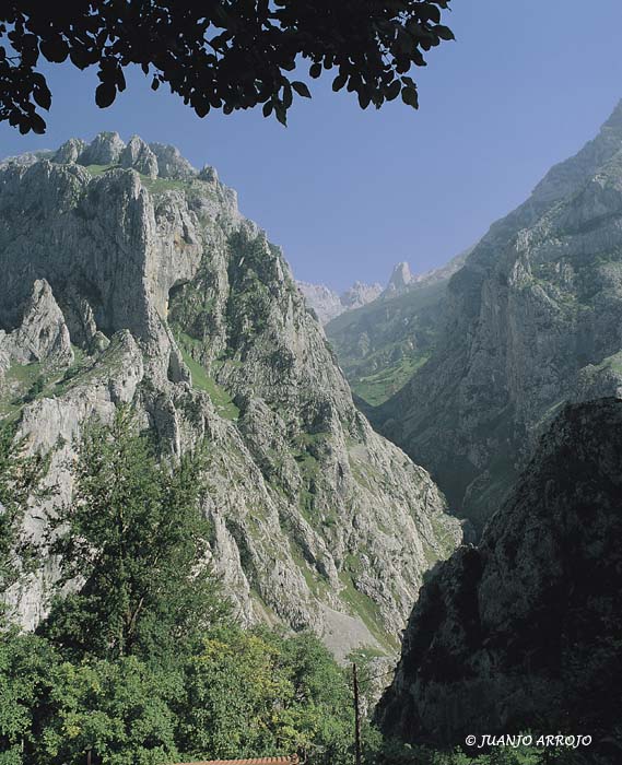 Foto de Cabrales (Asturias), España