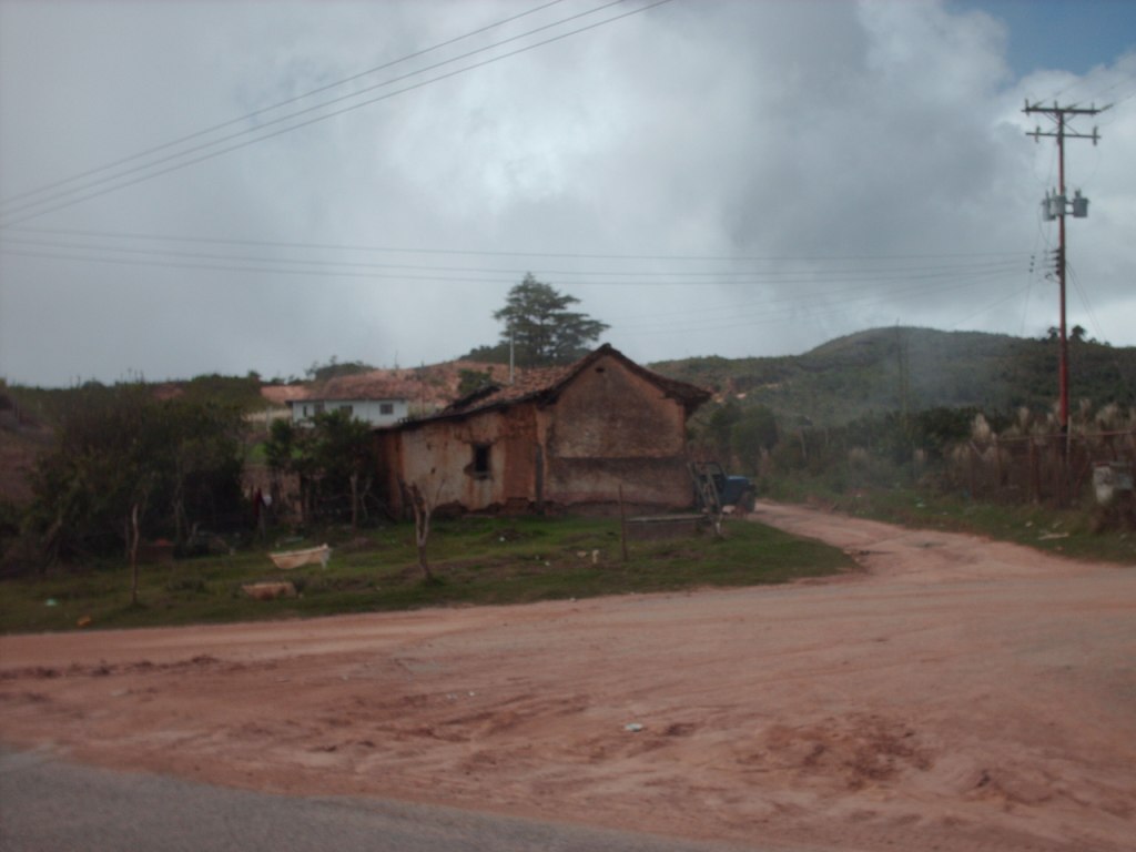 Foto de Arbol Redondo, Venezuela