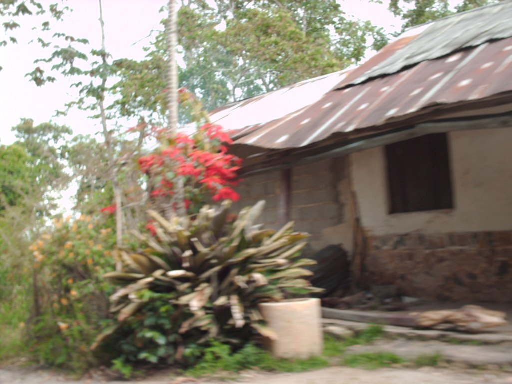 Foto de San Lazaro, Venezuela