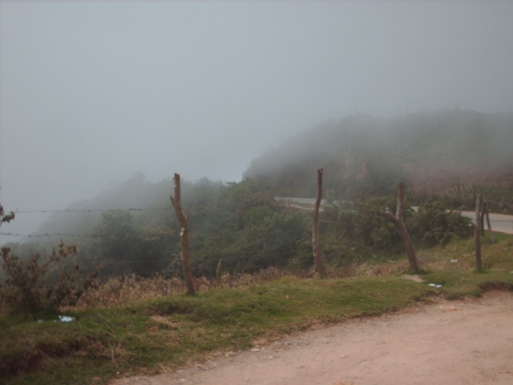 Foto de Santa Ana, Venezuela