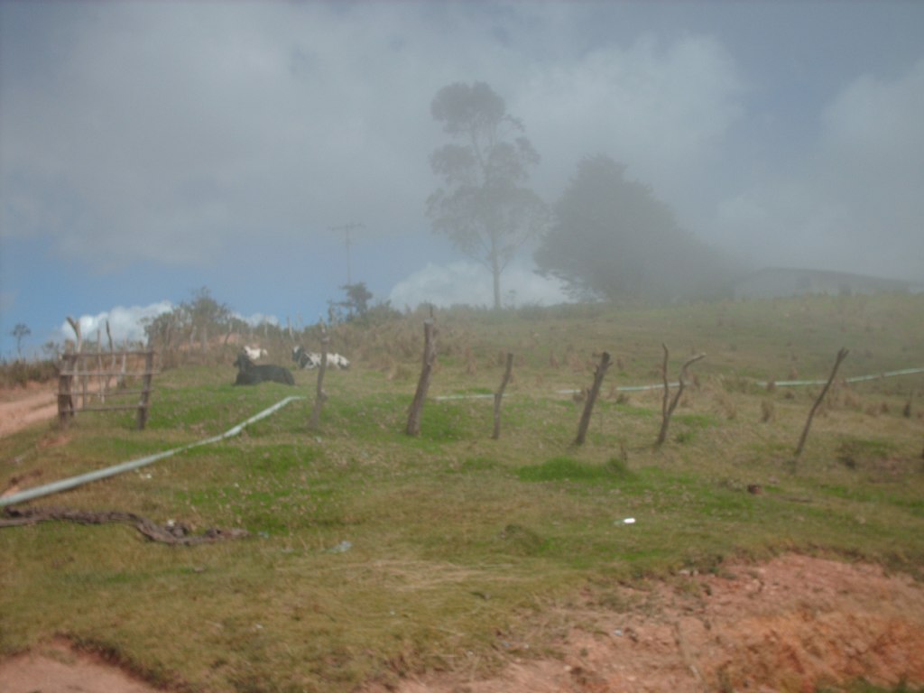 Foto de Santa Ana, Venezuela