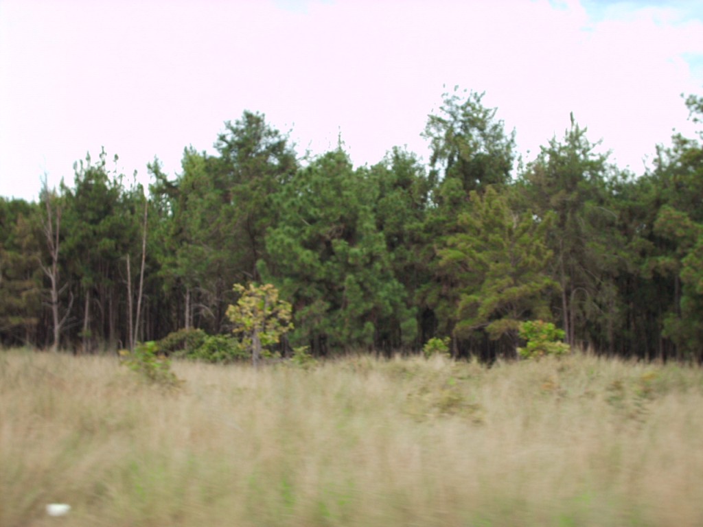 Foto de Mene Grande, Venezuela