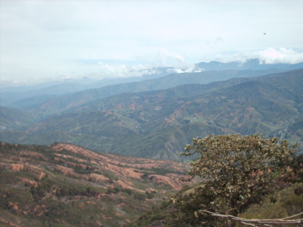 Foto de Santa Ana, Venezuela