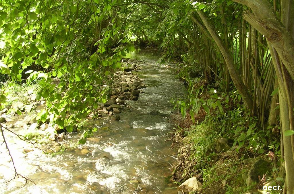 Foto de Pola de Allande (Asturias), España