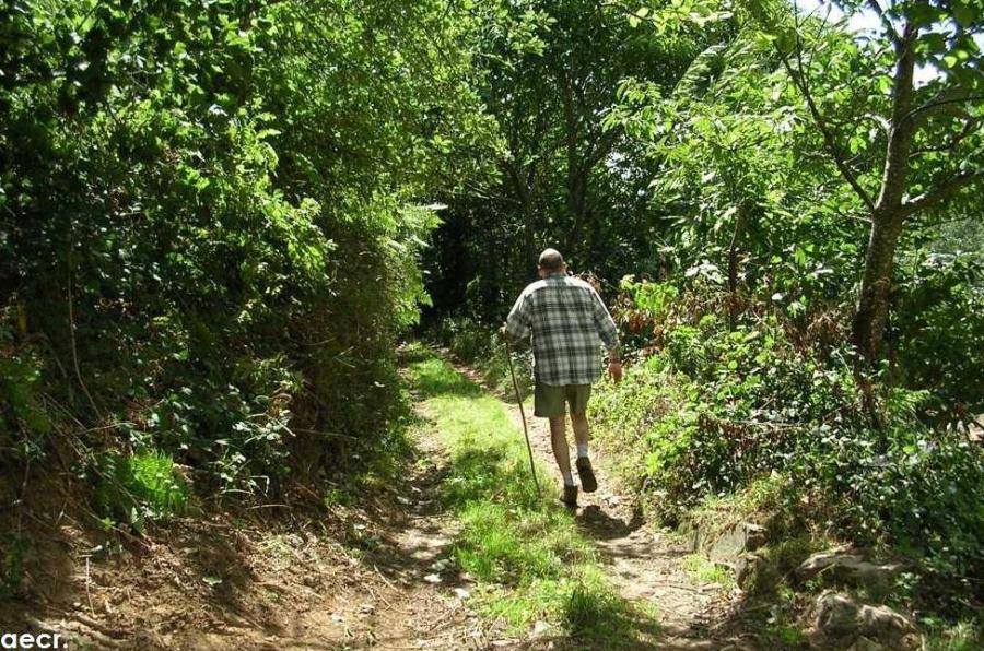 Foto de Pola de Allande (Asturias), España