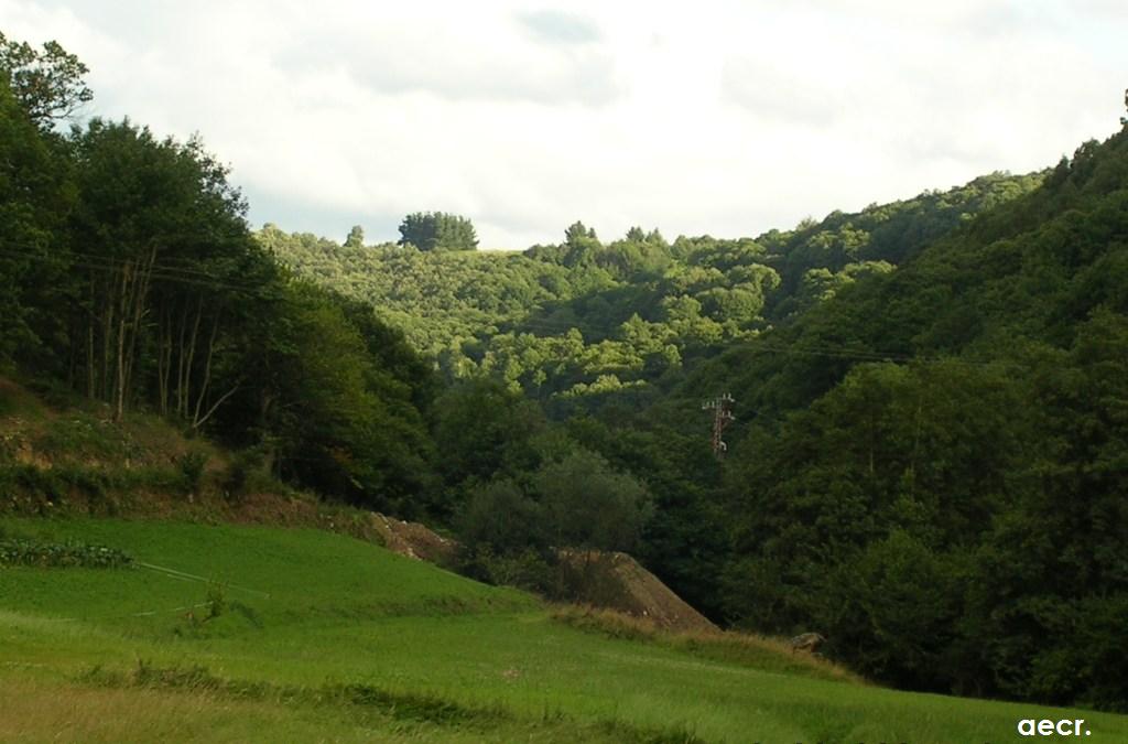 Foto de Pola de Allande (Asturias), España