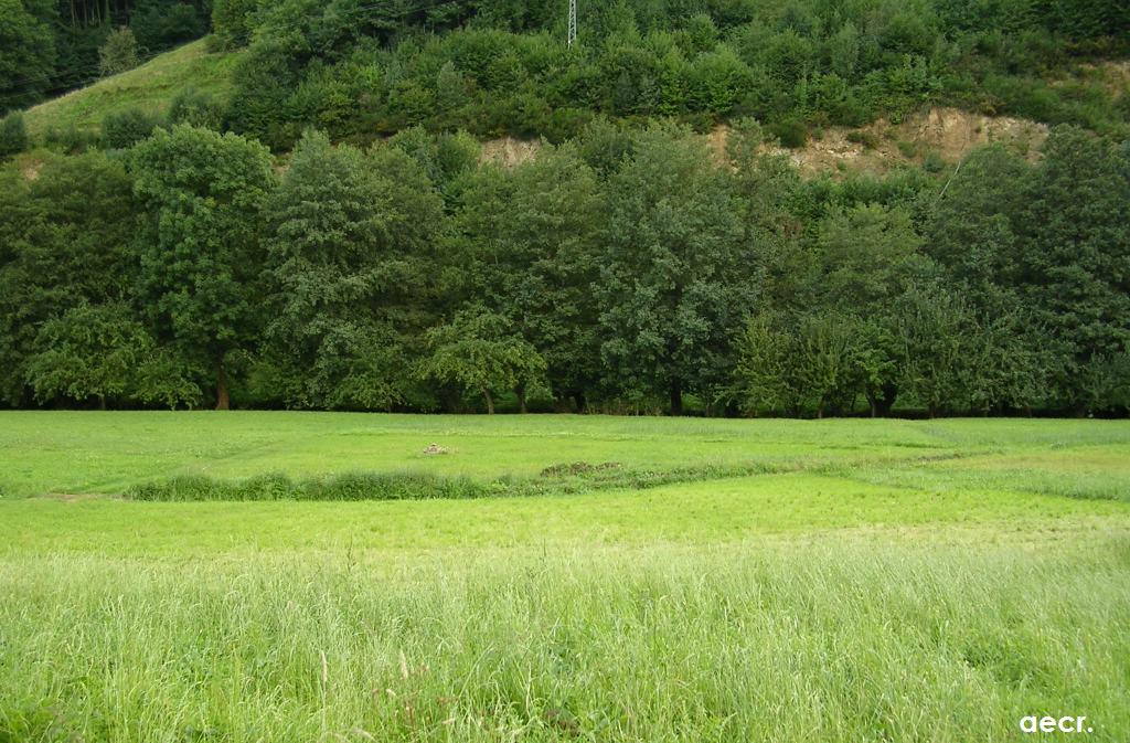 Foto de Pola de Allande (Asturias), España