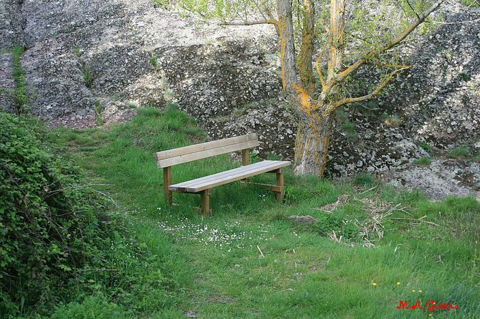 Foto de Noviercas (Soria), España