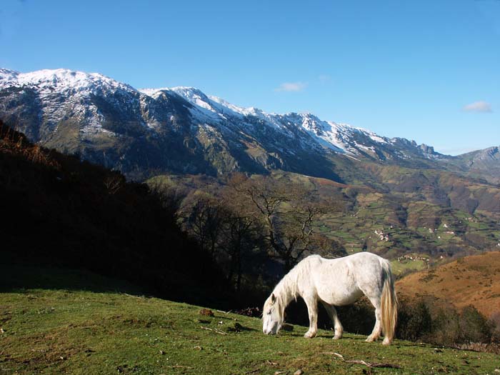 Foto de Riosa (Asturias), España