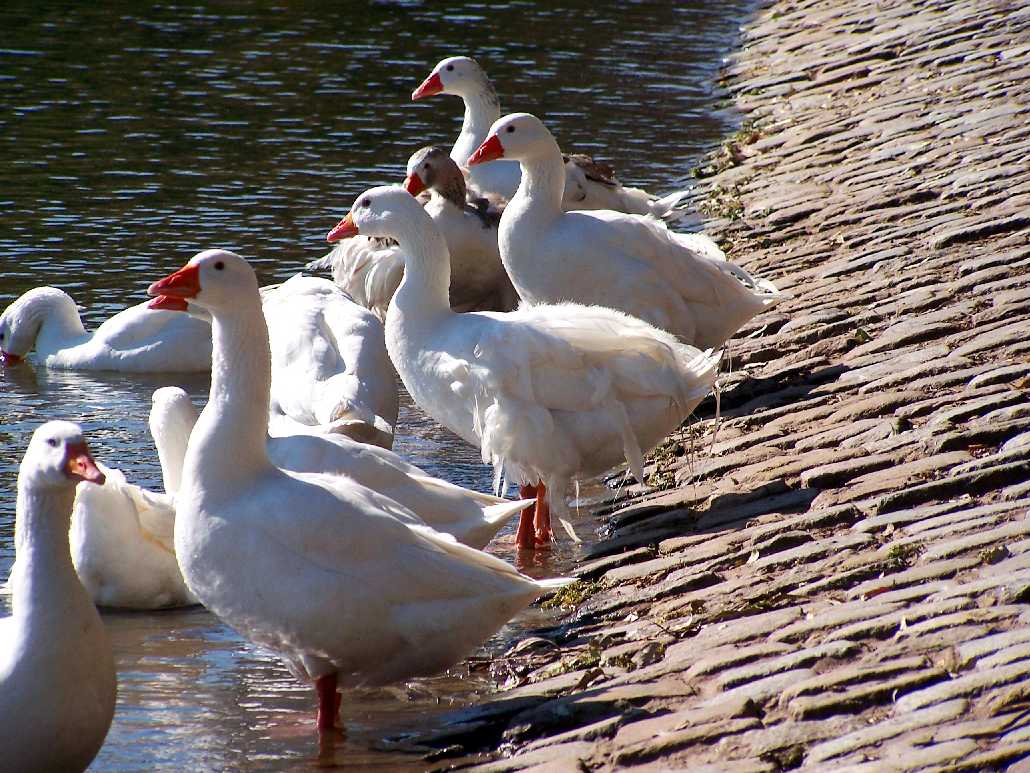 Foto de Buenos Aires, Argentina