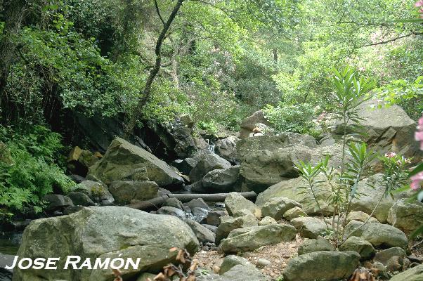 Foto de Algeciras (Cádiz), España