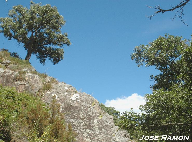Foto de Algeciras (Cádiz), España