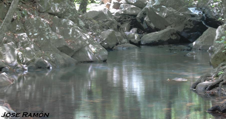 Foto de Algeciras (Cádiz), España