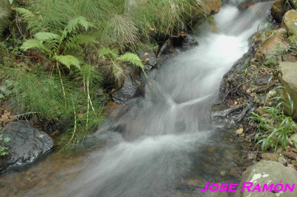 Foto de Algeciras (Cádiz), España