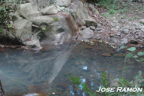 Foto de Algeciras (Cádiz), España