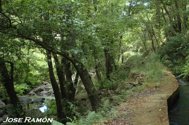 Foto de Algeciras (Cádiz), España