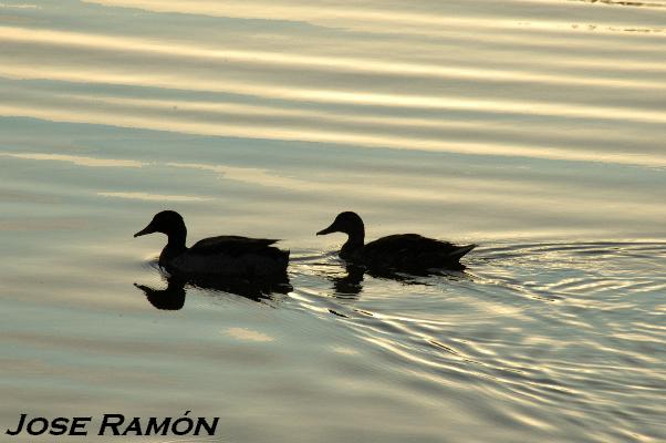 Foto de Jerez de la Frontera (Cádiz), España