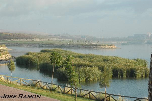 Foto de Jerez de la Frontera (Cádiz), España