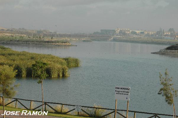 Foto de Jerez de la Frontera (Cádiz), España