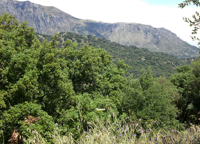 Foto de Grazalema (Cádiz), España