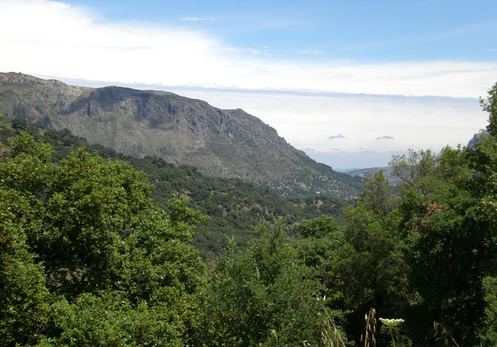 Foto de Grazalema (Cádiz), España