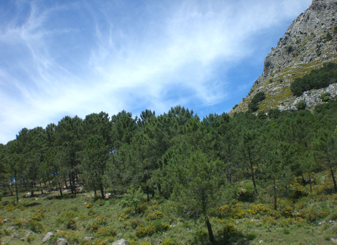Foto de Grazalema (Cádiz), España