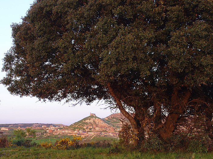Foto de Alcozar (Soria), España