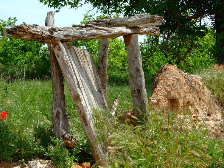 Foto de Alcoba de la Torre (Soria), España