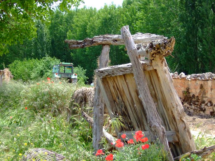 Foto de Alcoba de la Torre (Soria), España