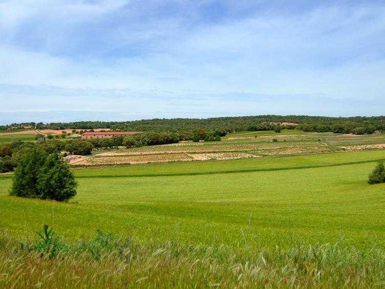 Foto de Alcoba de la Torre (Soria), España