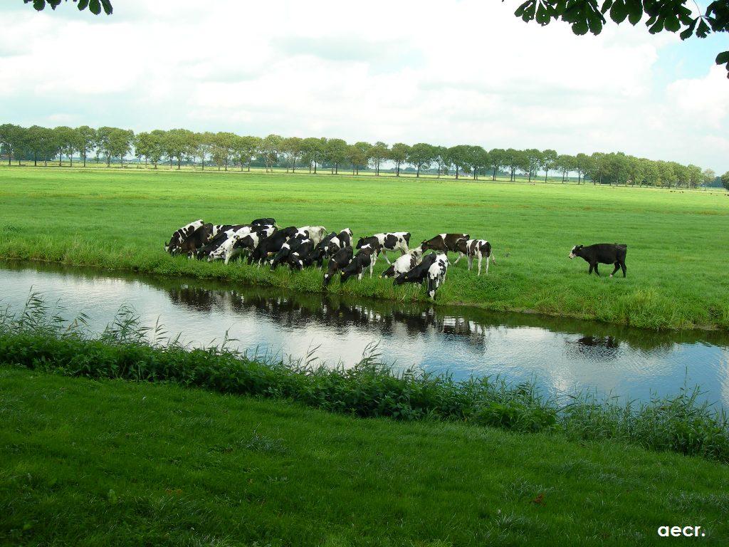 Foto de Amsterdam, Países Bajos