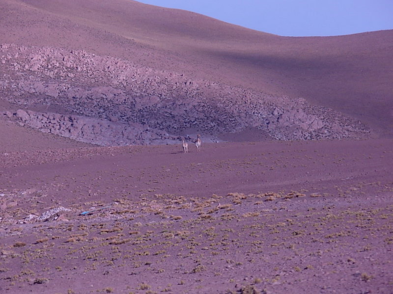 Foto de San Pedro de Atacama, Chile