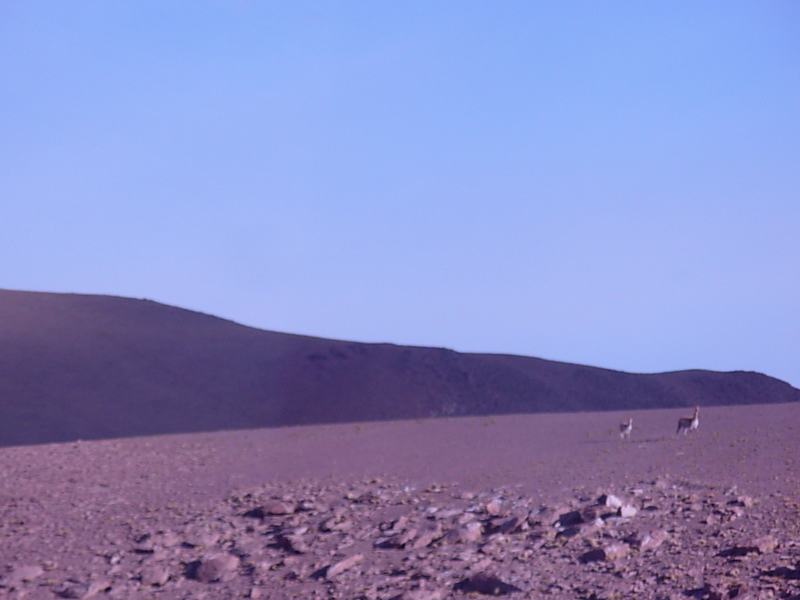 Foto de San Pedro de Atacama, Chile