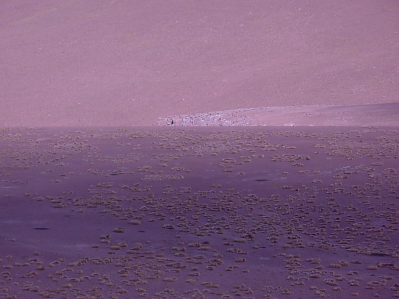 Foto de San Pedro de Atacama, Chile