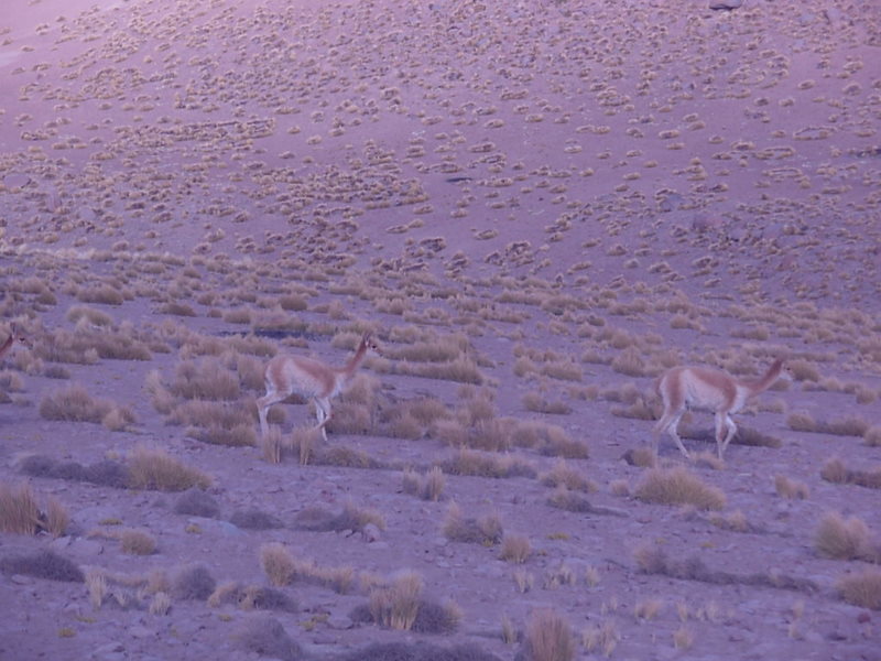Foto de San Pedro de Atacama, Chile
